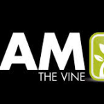 I Am the Vine
