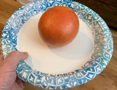 An Orange on a Styrofoam Plate